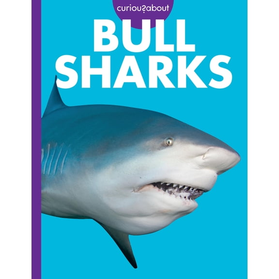 Curious about Bull Sharks, (Paperback)