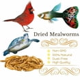 thumbnail image 5 of 10LBS Dried Mealworms High Protein Non-GMO Bulk Food For Chicken Bird Turtles Hens Feed Treats, 5 of 9