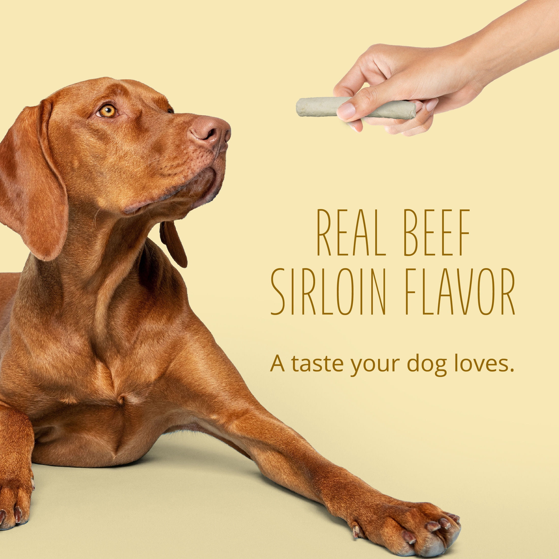 Better Belly Beef Sirloin Large Rolls Chew, Highly Digestible Dog Treat with Collagen, 3 Count