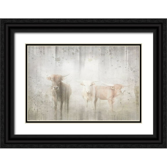 LightBoxJournal 14x11 Black Ornate Wood Framed with Double Matting Museum Art Print Titled - Antique Farm 08