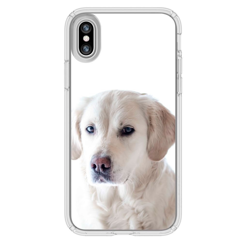 Image Of Golden Retriever Dog Puppy Apple Iphone X Plus Phone Case Walmart Com Walmart Com