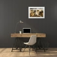 thumbnail image 3 of Jones, Adam 18x13 White Modern Wood Framed Museum Art Print Titled - Colorful travertine slope with yellow and brown cyanobacteria-Mammoth Hot Springs, 3 of 4