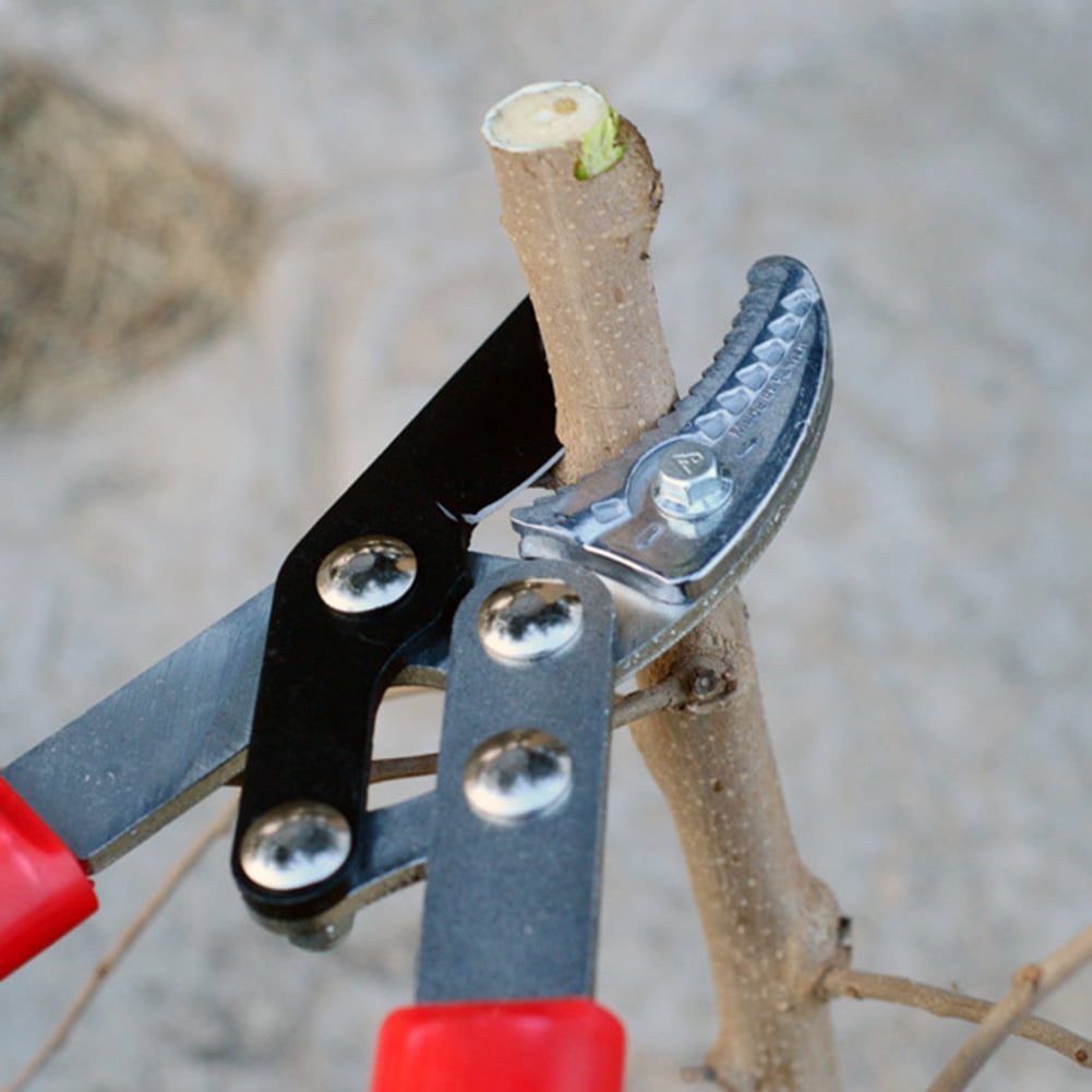 55-58 Degrees Blade Hardness Pruning Loppers,  Sk5 High-carbon Steel Pruning Shears, Trimming Bonsai Twigs for Park