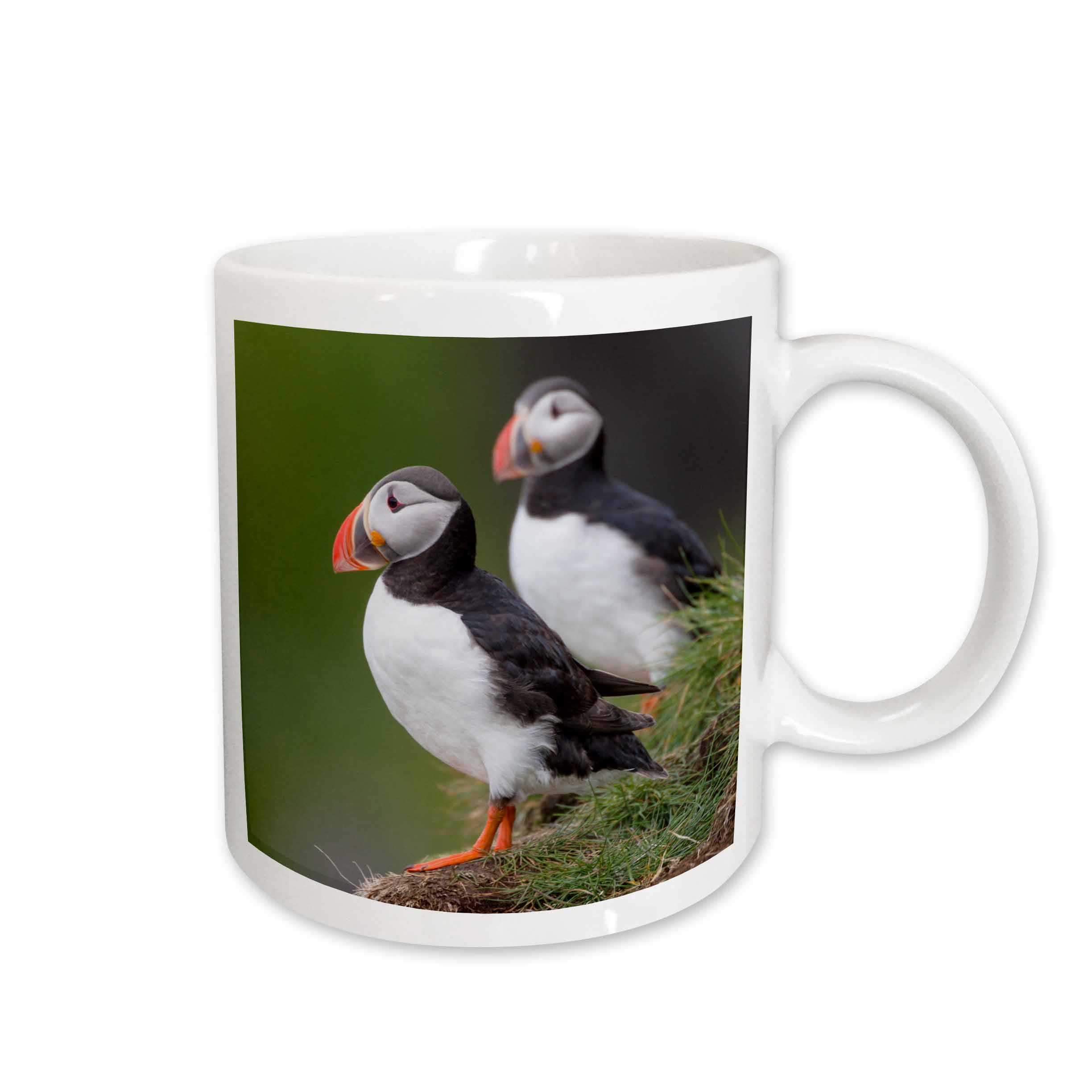 puffin drinkware puffin drinkware