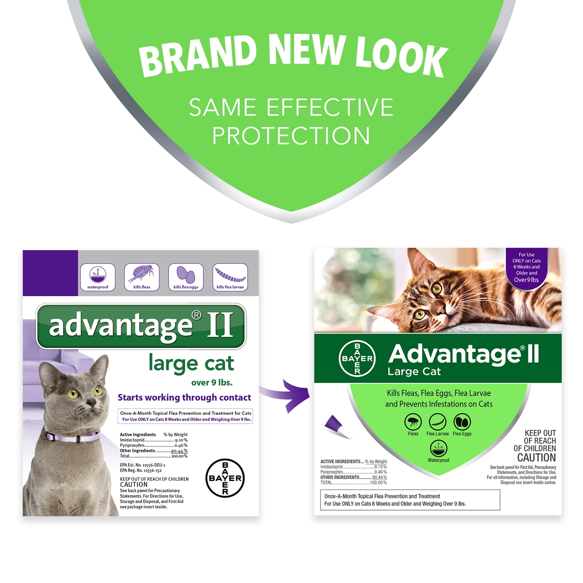 advantage ii flea treatment for large cats over 9 lbs