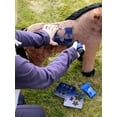 thumbnail image 2 of LeMieux Toy Pony Gracie - Interactive 'Clippable' Bay Pony - Suitable for Ages 3+, 2 of 5