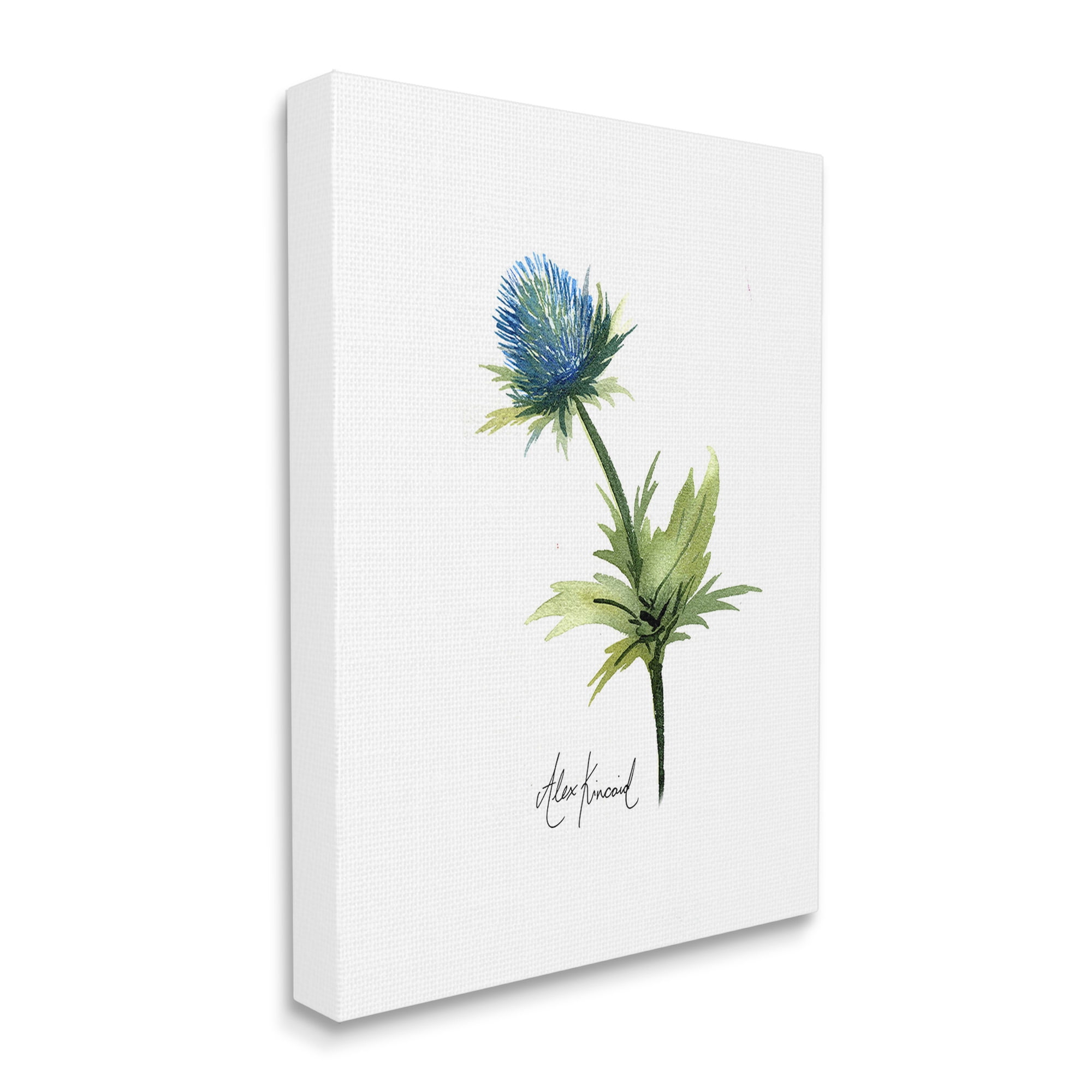Stupell Industries Simple Thistle Watercolor Botanical & Floral Painting Gallery Wrapped Canvas Art Print Wall Art, 30 x 40