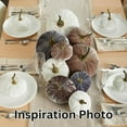 thumbnail image 6 of Velvet Pumpkins Set of 3 Different Sizes, Thanksgiving tablescape, Cozy farmhouse décor, Fall centerpieces, Warm sophisticated decor, Autumn cozy mantel decor, Halloween tabletop (Gray Taupe Ivory), 6 of 10