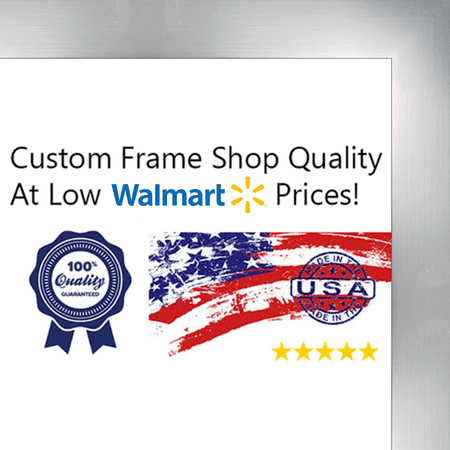 11x17 2" Brushed Steel Solid Wood Frame - Great for Posters, Photos, Art Prints, Mirror, Chalk Boards, Cork Boards