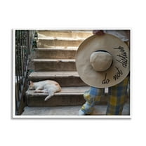 Stupell Industries Do Not Disturb Cat Animals & Insects Photography White Framed Art Print Wall Art, 30 x 24