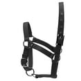 thumbnail image 3 of Horse Halter Thickened Adjustable Creative Horse Bridle Horse Head Collar, 3 of 7