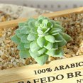 thumbnail image 1 of DIY Artificial Succulent Flocked Plant Fake Cactus Lotus Home Garden Decor, 1 of 1