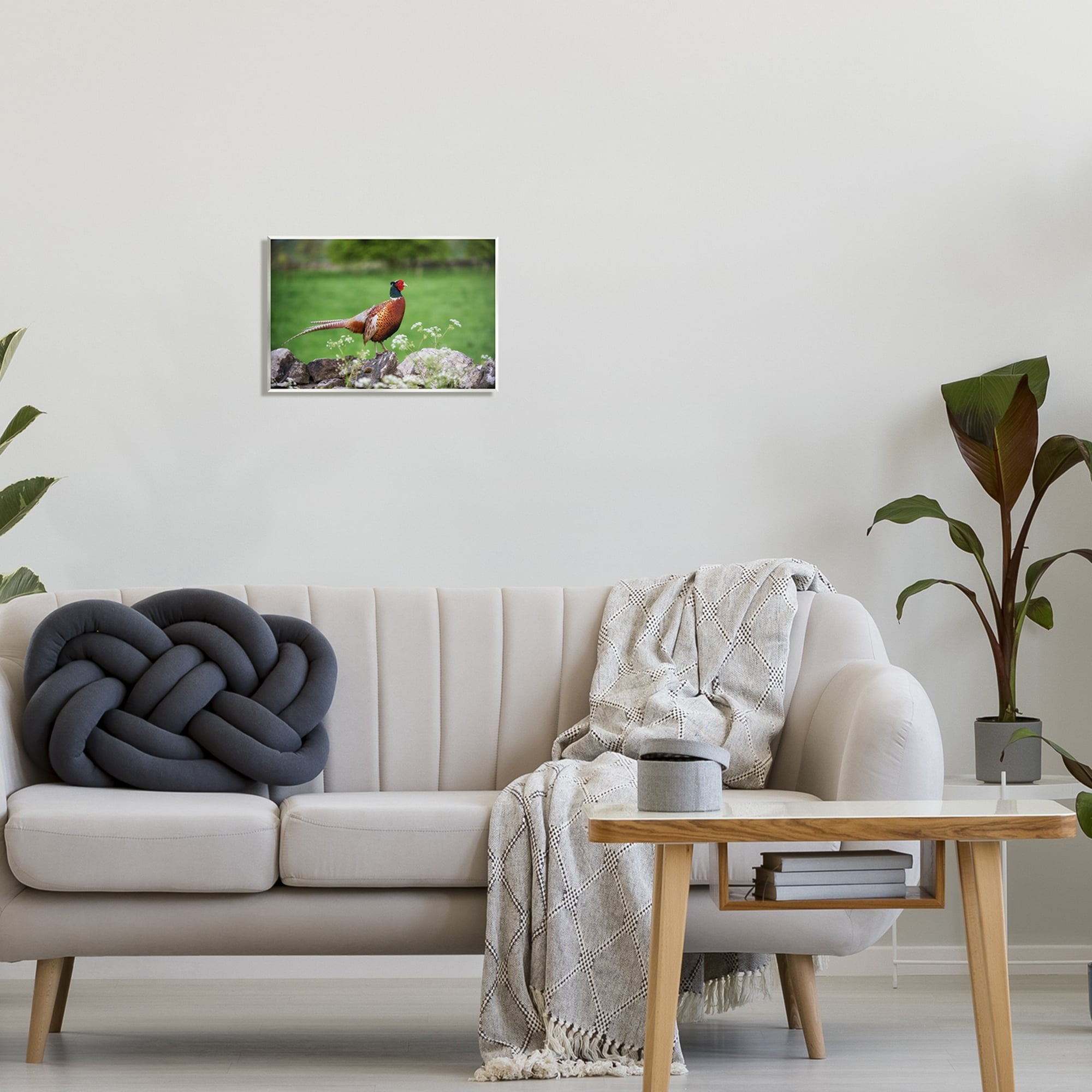 Stupell Industries Pheasant Strolling Lush Grassland Rural Nature Landscape Photograph Unframed Art Print Wall Art, Design by James Dobson