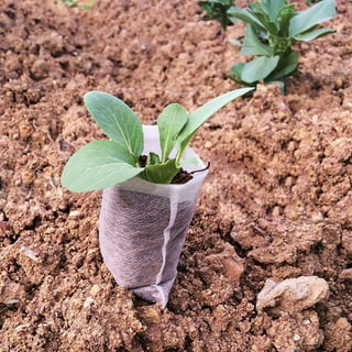 200pcs Nursery Bags Plant,Biodegradable Non-Woven Plant Grow Bags Fabric  Seedling Pots Bags Plants Home Garden Supply (5.5x6.2)
