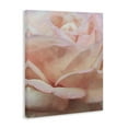 thumbnail image 4 of Stupell Industries Soft Rose Petals Botanical & Floral Painting Gallery Wrapped Canvas Art Print Wall Art, 30 x 40, 4 of 8