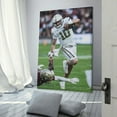 thumbnail image 3 of Haynes King Canvas Poster Picture Print Canvas Poster Wall Paint Art Posters Decor Modern Home Artworks Gift 24x36inch(60x90cm), 3 of 6
