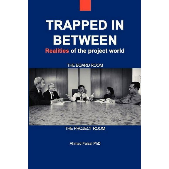 Trapped in Between: Realities of the Project World (Paperback)