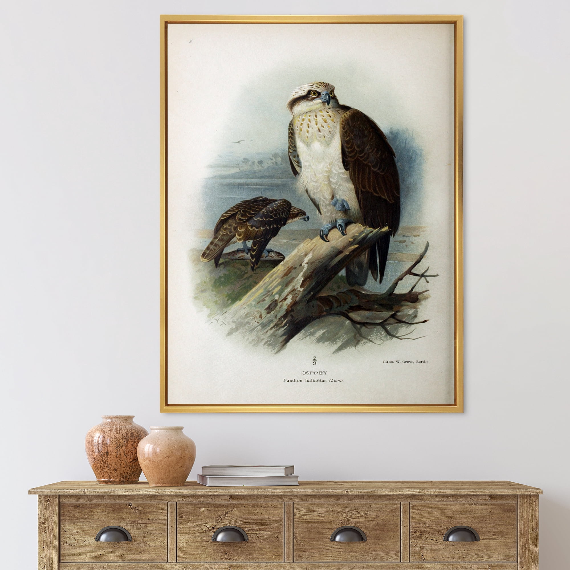 Designart 'Ancient Bird Life VI' Traditional Framed Canvas Wall Art Print