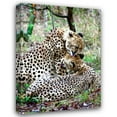 thumbnail image 1 of Dana Underdahl 14x18 Gallery Wrapped Canvas Wall Art Titled - Cheetah III, 1 of 4