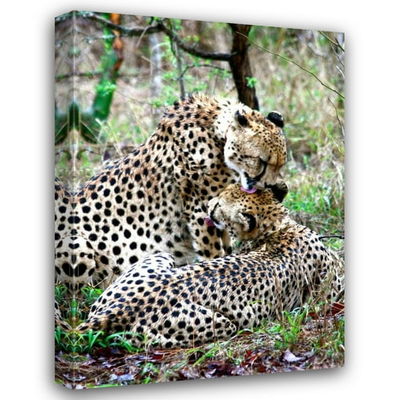 Dana Underdahl 14x18 Gallery Wrapped Canvas Wall Art Titled - Cheetah III