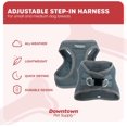 thumbnail image 3 of GFDYREE Step in Dog Harness for Small Dogs No Pull, Small, Titanium - Adjustable Harness with Padded Mesh Fabric and Reflective Trim - Buckle Strap Harness for Dogs, 3 of 7