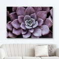 thumbnail image 3 of HFDF Canvas Prt Wall Art Closeup of Bloomg Purple Desert Succulent Floral Plants Photography Realism Rustic Colorful Ultra for Livg Room, Bedroom, Office - 16x12inch Framed, 3 of 6