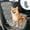 Gray, variant on Nkmbld Pet Dog Or Cats Trunk Cargo Liner Pet Car Dry Mat Waterproof Car Mat Passenger Dog Sleeping Mat Car Rear Dirty Pad