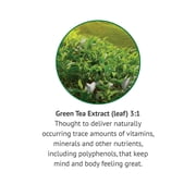Botanic Choice Green Tea Extract Liquid, Gluten Free Herbal Supplements - 1 Fl. Oz