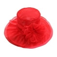 thumbnail image 4 of Charmgo Fascinators Hats for Women, Spring Summer Mesh Sunshade Hat Flower Temperament Wedding Sun Hat Dome Large Brim Hat Fashion Sun Hats for Women, Kentucky Derby Hats for Women Red One Size, 4 of 4