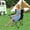 Black, variant on Folding Camping Chair for Adults, Portable Outdoor Chair with Cup Holder & Carry Bag, for Camping Beach Picnic Fishing, Compact Foldable Chair