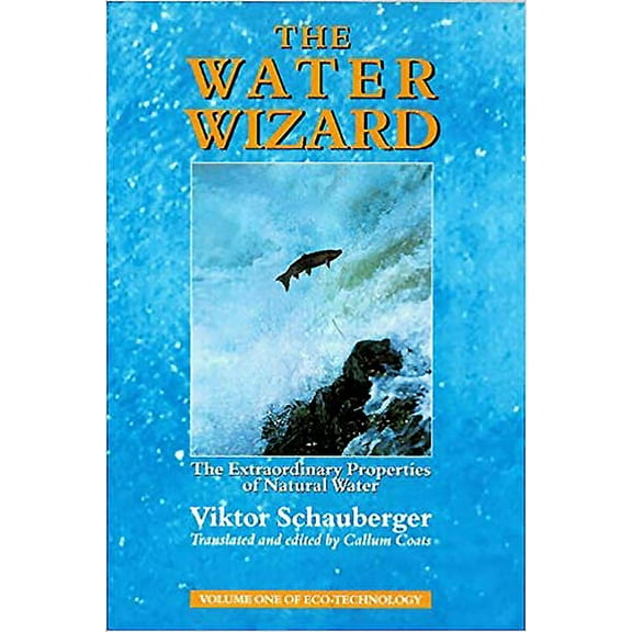 Eco-Technology The Water Wizard: The Extraordinary Properties of Natural Water, Book 01, (Paperback)