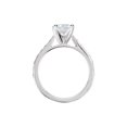 thumbnail image 2 of 2 3/4ct Cathedral Channel Set Lab Grown Diamond Engagement Ring 14K White Gold, 2 of 3