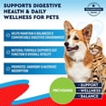 thumbnail image 2 of Natural Intestinal Support for Dogs, Puppies & Cats, Kitten – Herbal Cleanse with Wormwood, Black Walnut – Promotes Healthy Gut – Advanced Broad Spectrum Formula for Large, Medium Small para Perros, 2 of 7