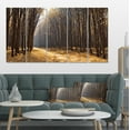 thumbnail image 1 of Light in the Forest Path Panorama - Forest Canvas Art Print, 1 of 4