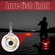 thumbnail image 5 of 3x Señuelos de pesca Trampa Luz LED Bajo el agua Forma de ojo Lámpara de cebo de calamar (Rojo) Likrtyny  Para estrenar, 5 of 9