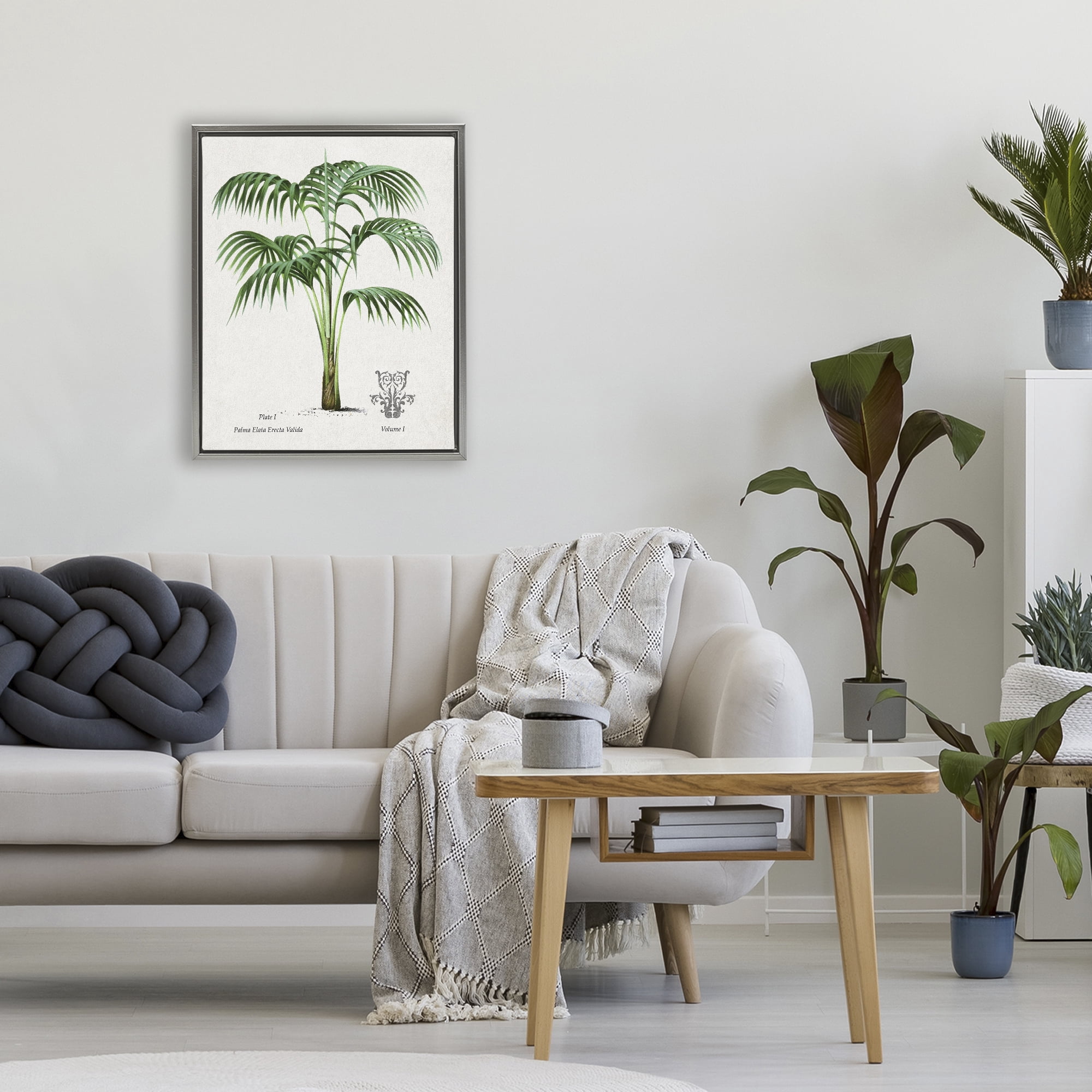 Stupell Industries Natural Palm Study Gray Framed Floater Canvas Wall Art, design by Val Rhodes