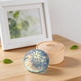 thumbnail image 5 of Glitter Dumpling Squishy Slow Rising Squeeze Toy Cute Kawaii Food Stress Relief Fidget Gift for Kids Adults Desk Decor, 5 of 7