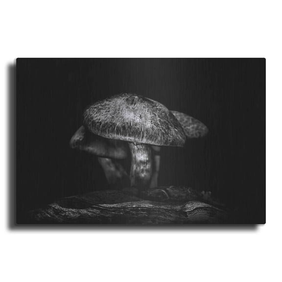 Luxe Metal Art 'Toadstools On A Trail No 1' by Brian Carson, Metal Wall Art, 16"x12"