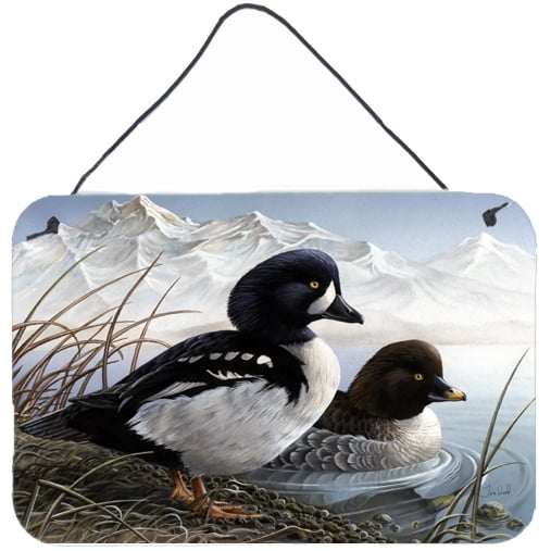 Carolines Treasures PTW2056DS812 Goldeneye Ducks in the Water Wall or Door Hanging Prints 8x12 multicolor