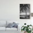 thumbnail image 3 of Trademark Fine Art 'Ocean View BW' Canvas Art by Debra Van Swearingen, 3 of 4