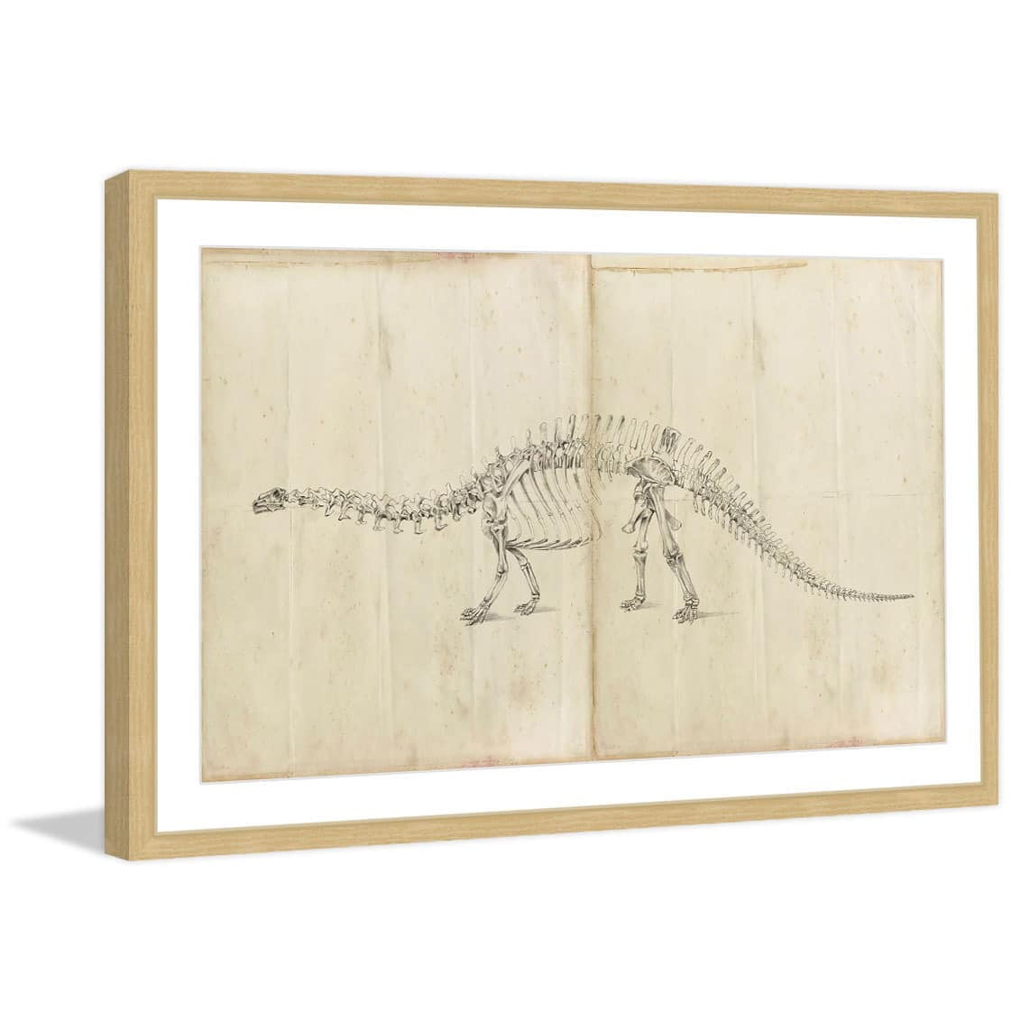 Marmont Hill "Dinosaur Study I" Framed Painting Print