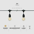 thumbnail image 3 of Globe 24 Feet 11 Watts Dublin Incandescent Vintage String 12 Bulb Light Set, 3 of 7