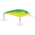 thumbnail image 3 of Flicker Shad Shallow, 3 of 8