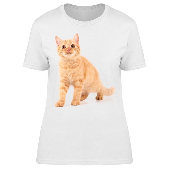 Red Short-hair Cat Looks Up T-Shirt Women -Image by Shutterstock, Female x-Large