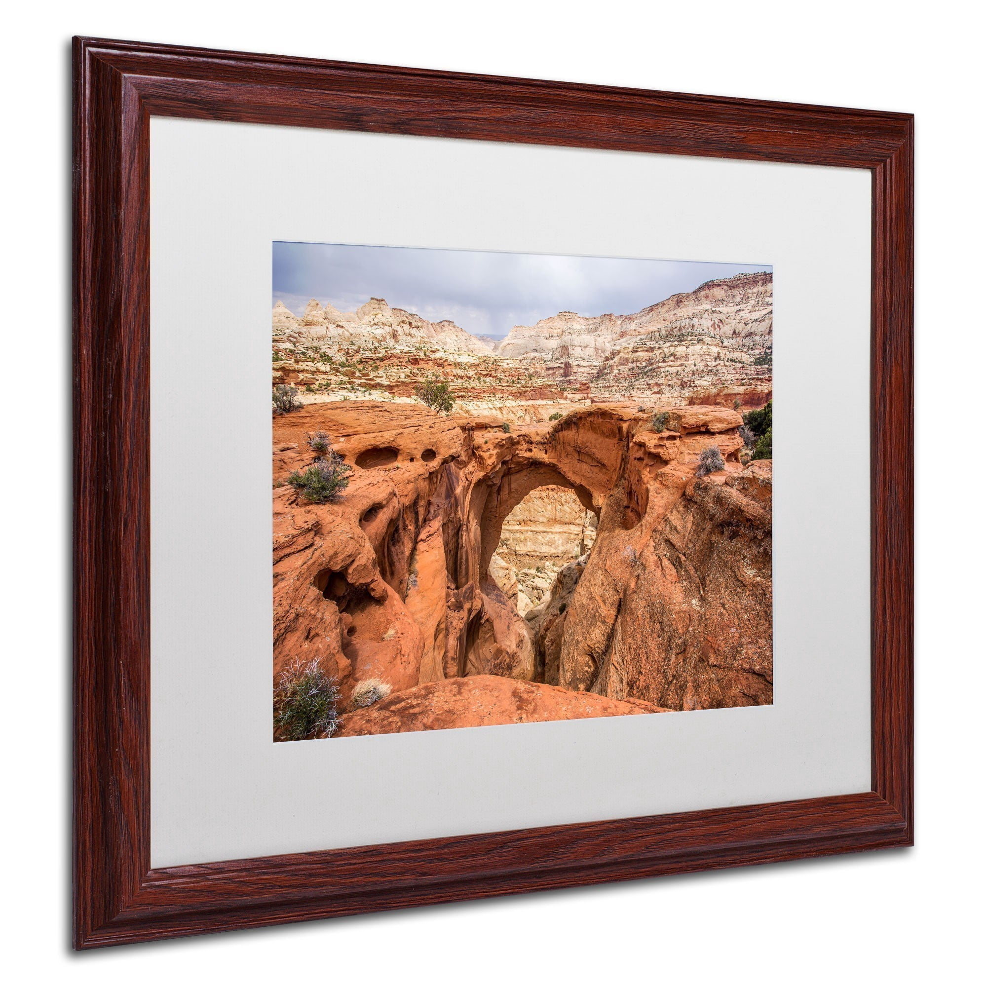 Trademark Fine Art "Cassidy Arch" Canvas Art by Pierre Leclerc, White Matte/Wood Frame