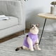 thumbnail image 1 of Traje de recuperación Fernando para gatos Camisa quirúrgica suave protección contra heridas, 1 of 8