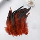 thumbnail image 2 of 50 Uds. de plumas para manualidades DIY, accesorios de artesanía, decoraciones de plumas de pollo ligeras y suaves portátiles para fabricación de Café BLESIY Plumas para manualidades, 2 of 8