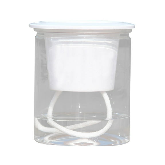 NUZYZ Clear Automatic Water Absorption Self Watering Hydroponic Flower Pot Planter