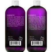 BOTANIC HEARTH Purple Shampoo and Conditioner Set - for All Shades of Blonde, Silver and Gray Hair - Enhances Highlights - Sulfate Free, Paraben Free, 16 fl oz each
