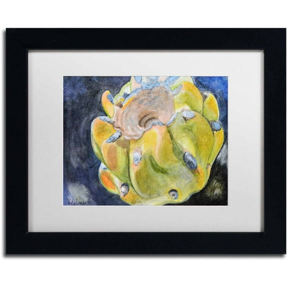 Trademark Fine Art "Cactus Fruit" Canvas Art by Jennifer Redstreake White Matte, Black Frame